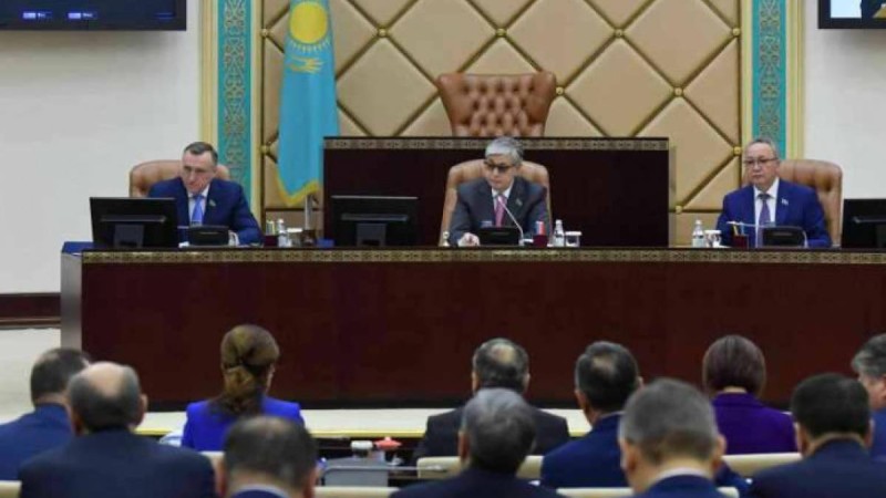 Сенат балаларға зорлық-зомбылық көрсетумен күрес жөніндегі заң қабылдады