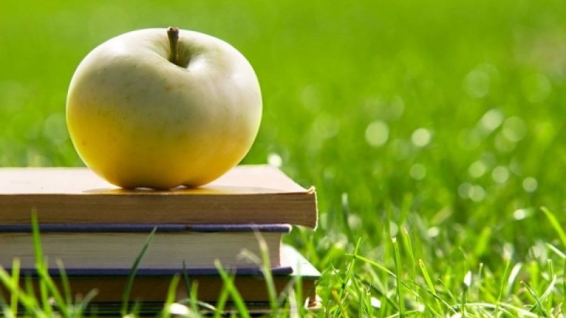 Арманыңызды өзіңіз жақындатыңыз |