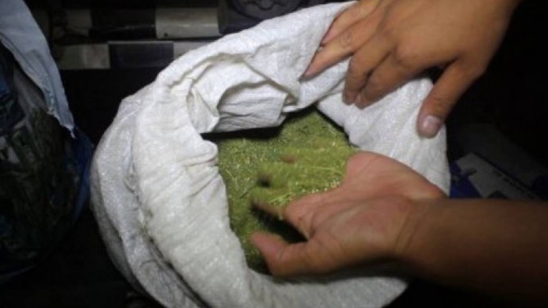 Алматы облысында ірі көлемде есірткі сақтағандар ұсталды