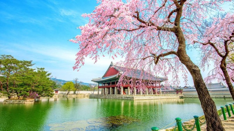 Оңтүстік Корея туралы 70 мәлімет - Қазақстан жаңалықтары