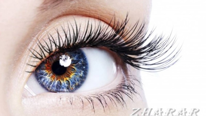 Қазақша өлең: 5 Қазан - Ұстаздар (Мұғалімдер) күні  | Қазақша өлең: 5 Қазан - Ұстаздар (Мұғалімдер) күні, Қазақша өлең, 5 Қазан