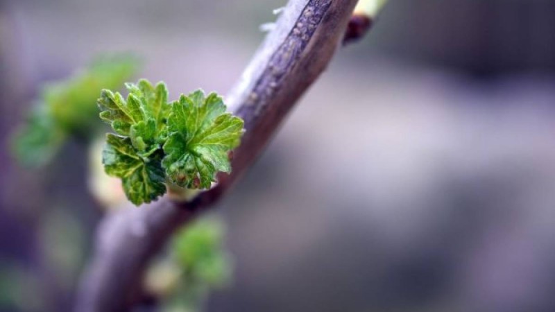 2-4 сәуірде ауа райы қандай болады