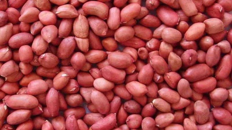 Жер жаңғағының жанға жайлылы қасиеттері