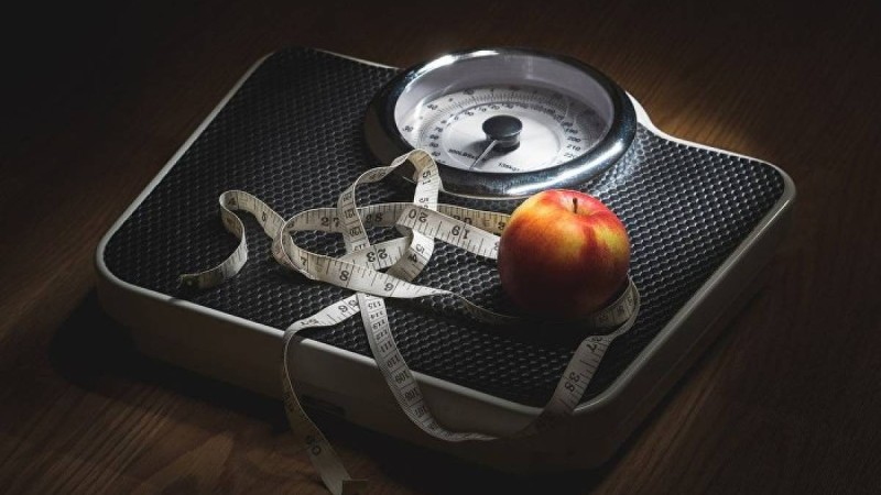 Ғалымдар артық май жинаудың басты себебін айтты