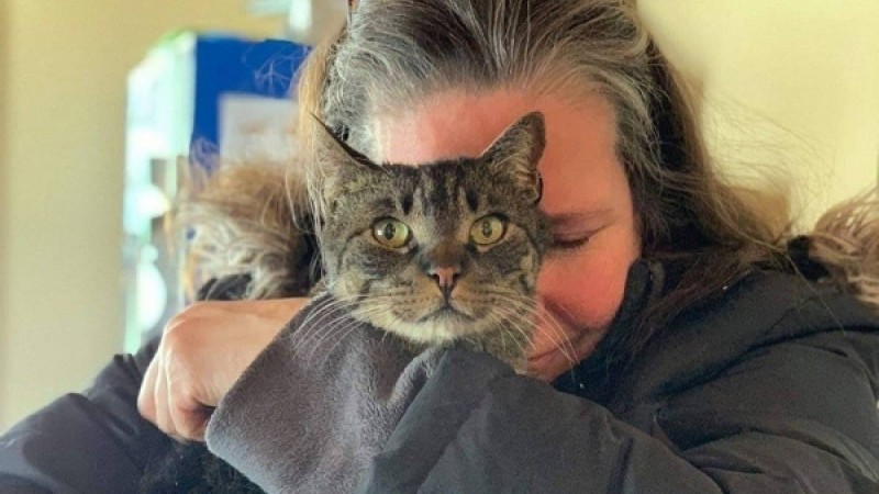 ​Бес жыл бұрын жоғалған мысық аман-есен табылған