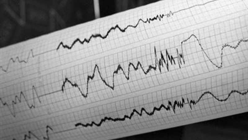 Алматыдан 133 шақырым жерде 4,1 магнитудалы жер сілкінісі болды