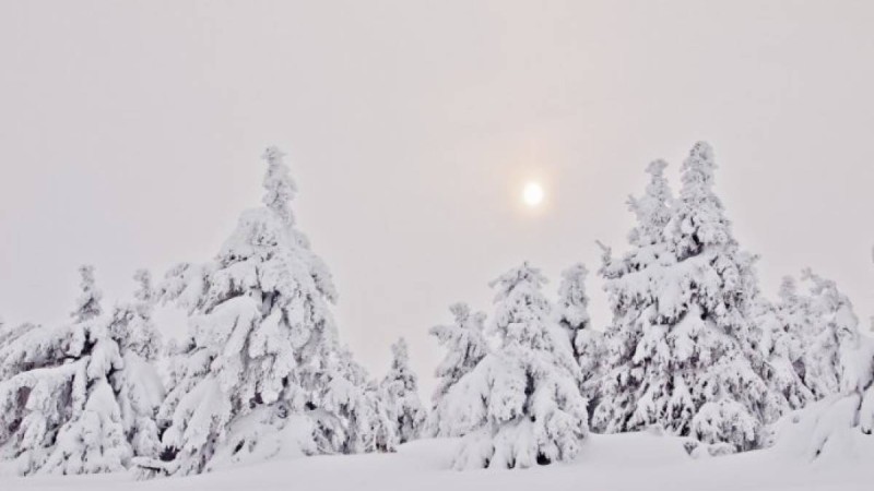 Жұма күні еліміздің басым аймағында тұрақсыз ауа-райы күтіледі