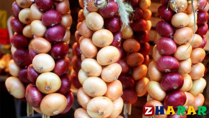 Денсаулыққа қатысты қызықты деректер