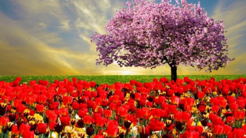 Қазақстандықтар наурызда қанша күн демалады