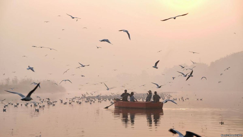 Еуромайданды еске алу және жыл құстарының көші