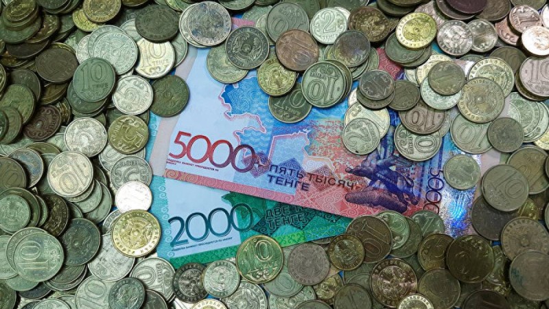 сенат депутаттары үкіметке асықпауға кеңес берді