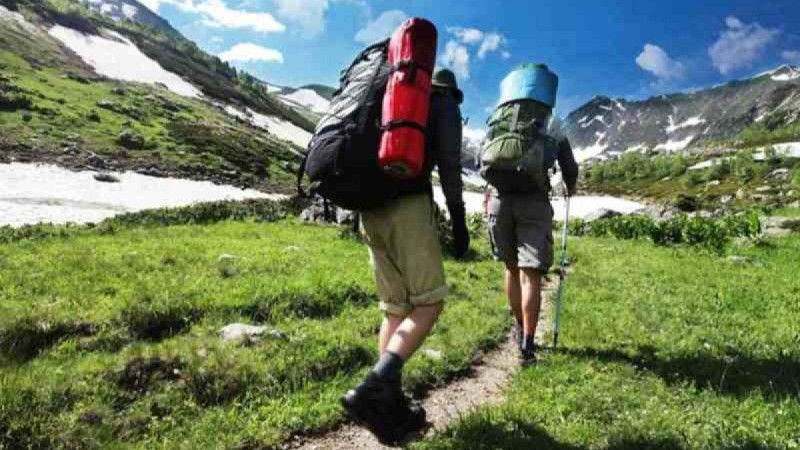 Қазақстанда шетелдіктер елден қандай жағдайда шығарылады? ІІМ жауап берді - Қазақстан жаңалықтары