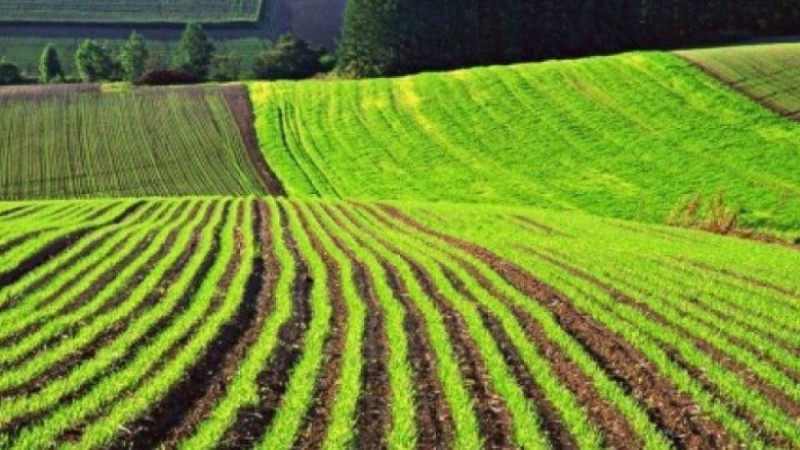 Мұхтар Тайжан бірыңғай аграрлық салықты енгізу ұсынды