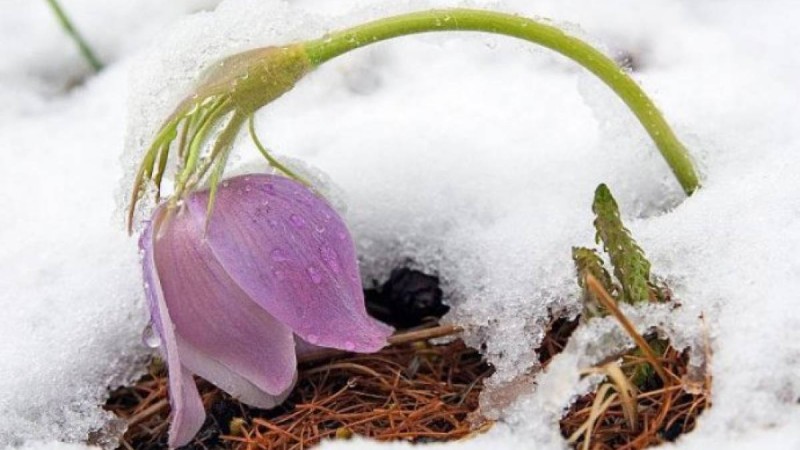 Дүйсенбі күні Қазақстан аумағында тұрақсыз ауа-райы сақталмақ