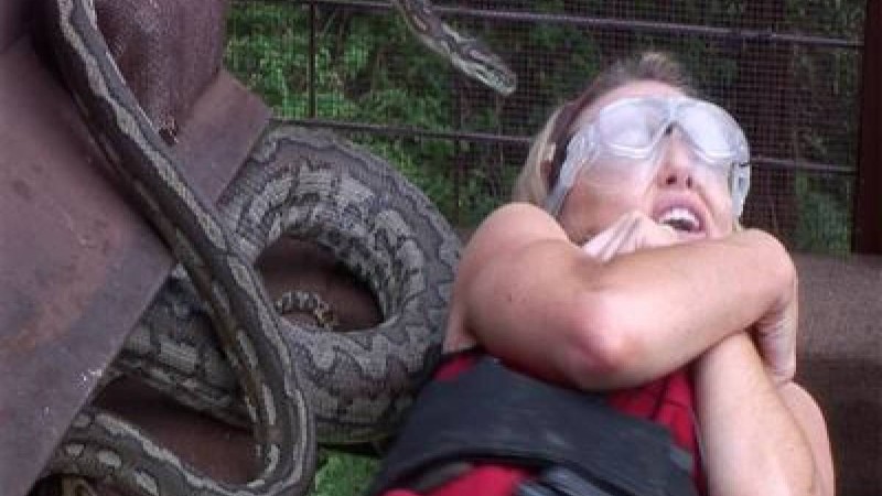 Телешоу жұлдыздарын улы жылан шағып ала жаздады