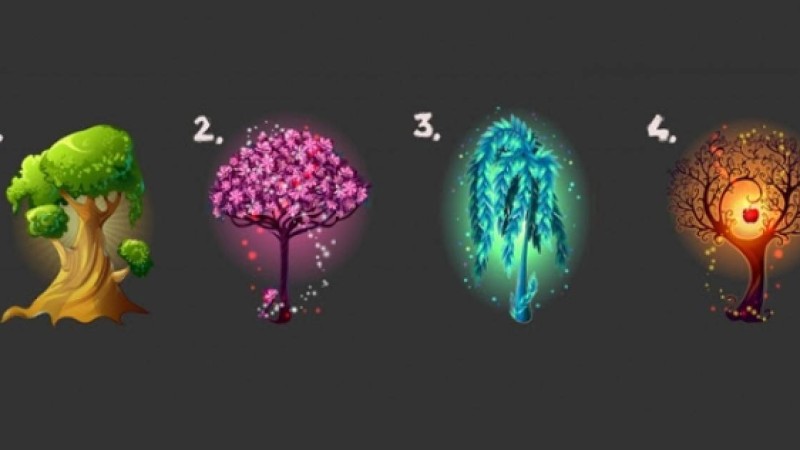 Психологиялық тест: Ағаштың бірін таңдап, өзіңіз туралы сыр біліңіз