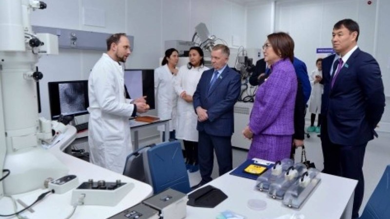 Әйтімова: Нарықта жоғары сапалы білім бере алатын оқу орындары ғана қалуы тиіс