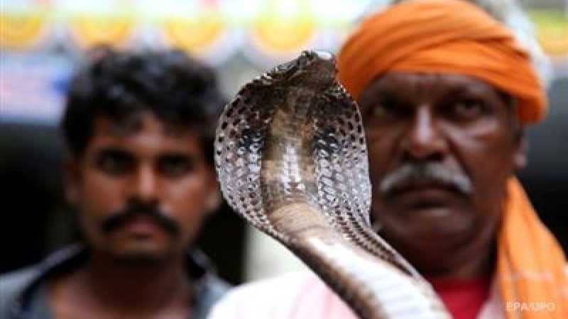 Жігіт достарын жыланмен қорқытамын деп, ажал құшты