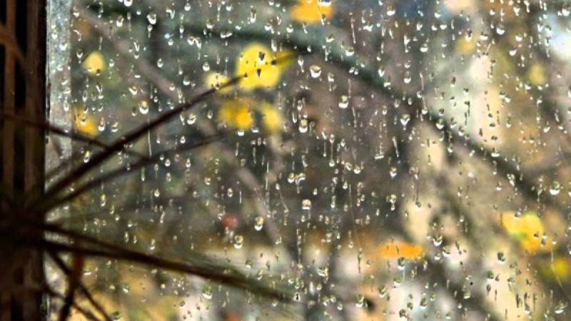 Қазақстанда алдағы демалыс күндері ауа райы қандай болады