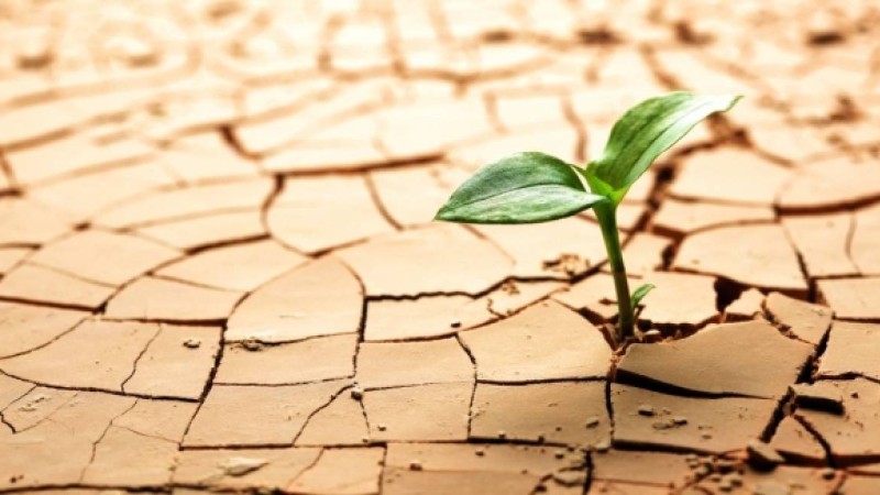 Ешқашан жеңілмеуге 12 себеп |