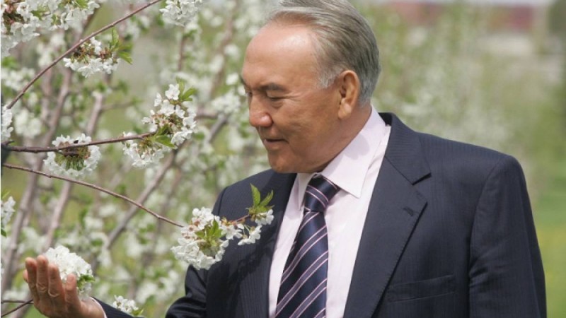 Назарбаев: Алматының алма ағаштары гүлдегенде жыл сайын келіп суретке түсем - Қазақстан жаңалықтары