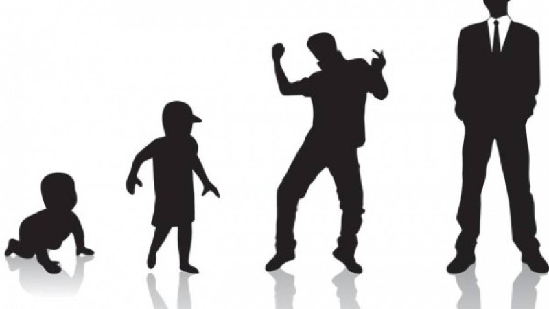 Ересек болу деген не? |