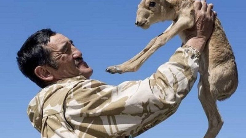 Бармаған жеріміз жоқ: Киіктерді қорғап қаза болған қорықшының жақындары істің дұрыс тергелмей жатқанына наразы - Қазақстан жаңалықтары