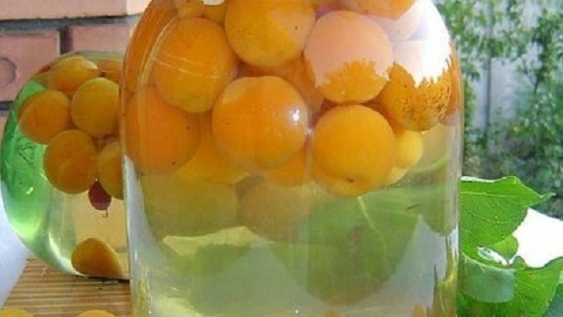 Абрикос компотын қалай әзірлейді? |