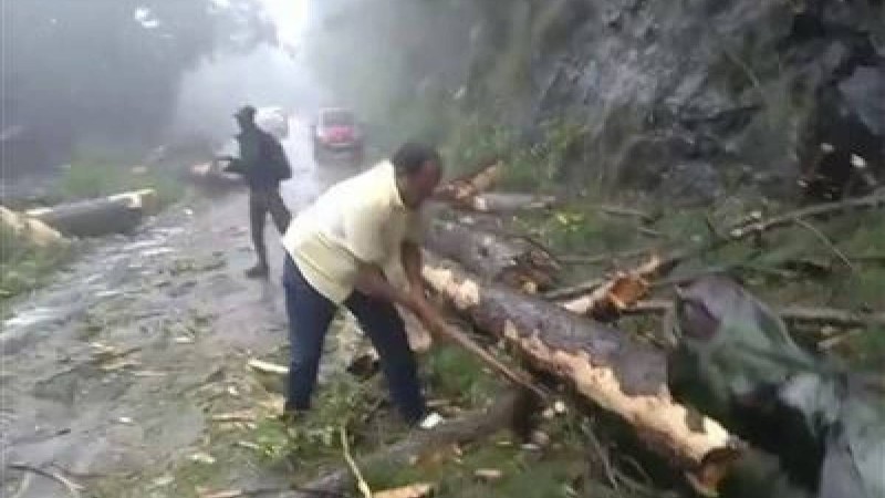 Қатты дауылдан 33 адам мерт болды