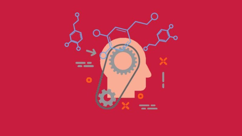 Марапаттан дәмелену сезімін бақыт деп ойлаймыз - Мотивация - Bilim