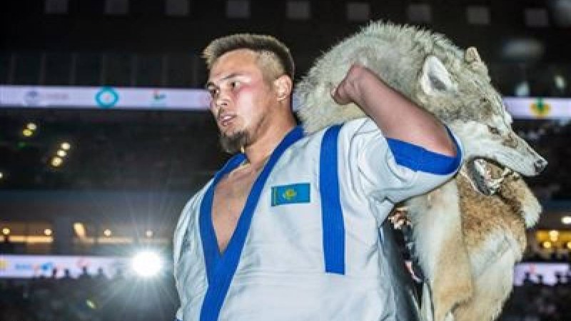 «Қазақстан барысы» допинг дауына ілікті