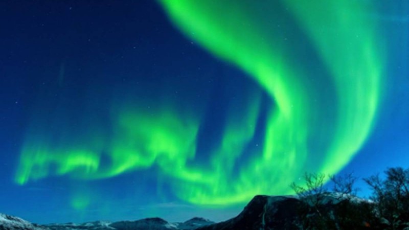 Қазақ қызының сұлулығы қалай бағаланған? » Қазақстан ұстаздарына арналған