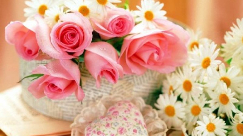 Асыл анам » Қазақстан ұстаздарына арналған