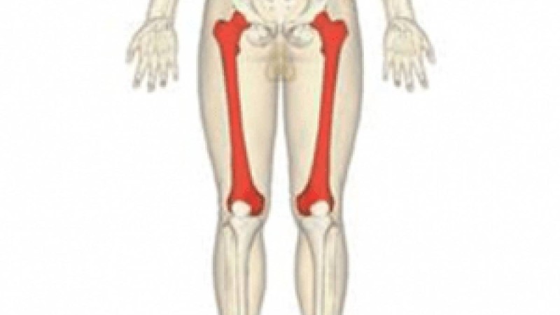 Үлкен ұршық сынығы. Кіші ұршық сынығы