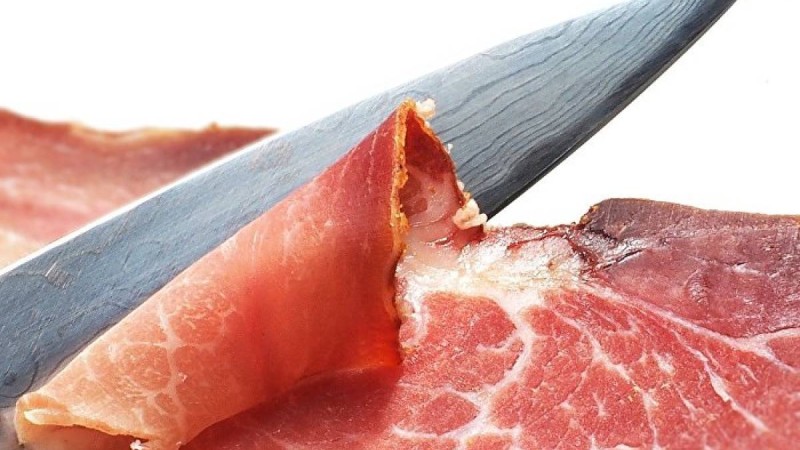 Балабақшадағы балалар есек етін жеп келгені әшкере болды  