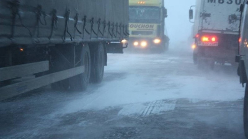 Самара - Шымкент тас жолында жеті жүк көлігі соқтығысты