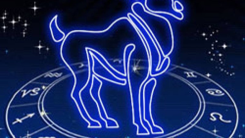 Жұлдыз жорамал: Тоқты жұлдызнама белгісінің сипаттамасы