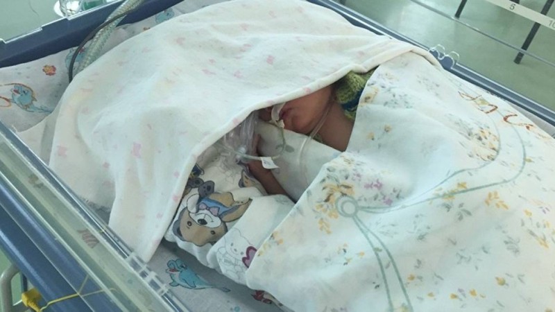 Жас келіншек бірден жеті бала туды – нәрестелердің барлығы шетінеп кетті