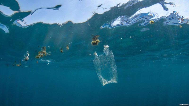 Еуропарламент пластиктен жасалған ыдыстарға тыйым салу туралы заң қабылдады