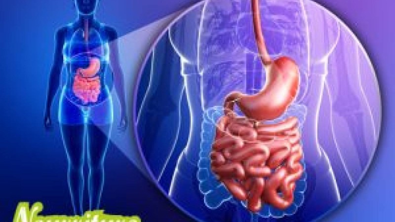 Экссудативті энтеропатия