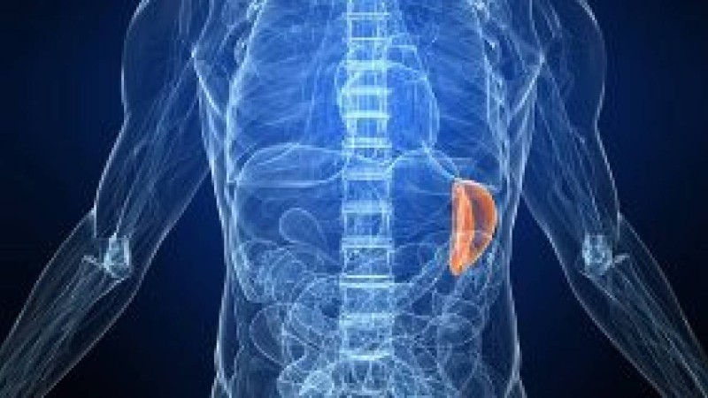 Ұйқы безінің қандағы және зәрдегі ферменттерін анықтау