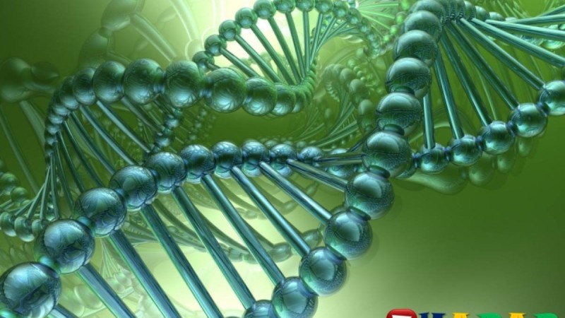 Сабақ жоспары жинағы
		Биологиядан жаңа формат бойынша тест тапсырмалары