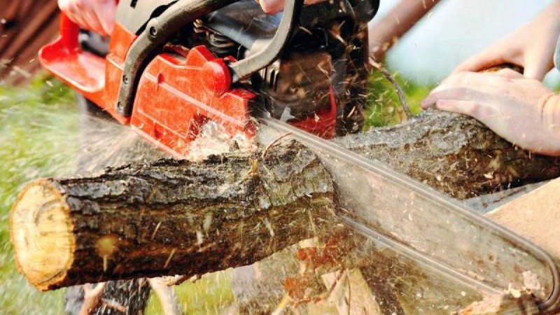 Жас қыз сақтандыру төлемі үшін қолын әдейі кесіп тастаған - Қазақстан жаңалықтары