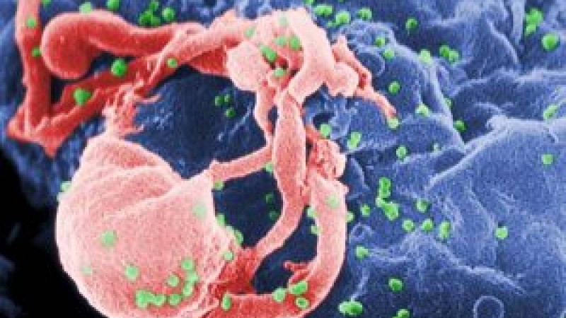 Лизосомалық аурулар