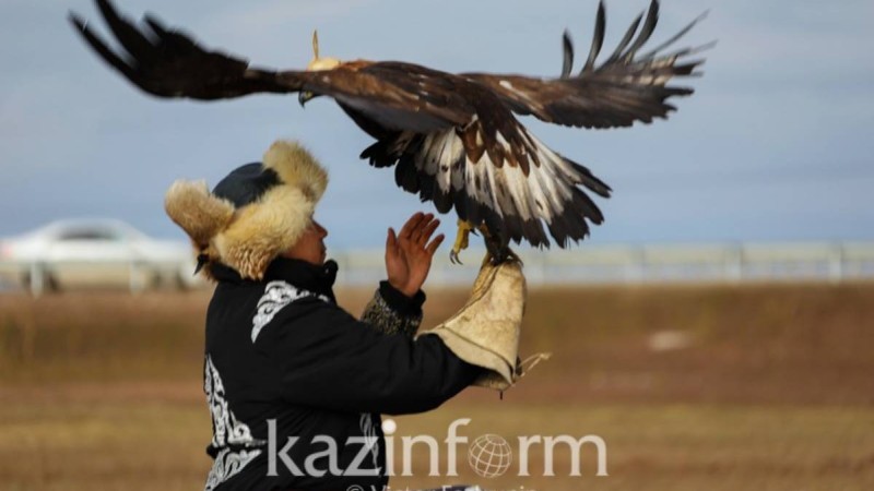 ШҚО бүркітшісі халықаралық байқауда топ жарды