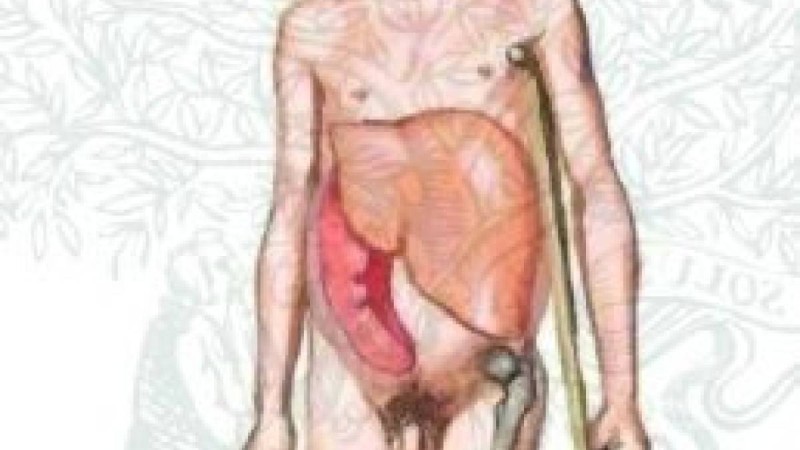 Гликолипидоздар