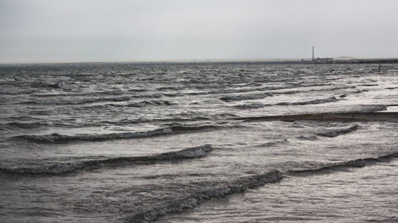 Қытайда екі метрлік жұмбақ жаратылыс жұрттың үрейін ұшырды