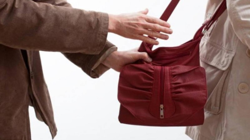 Алматы облысында шетелдік мұғалімді тонаған ұры қолға түсті