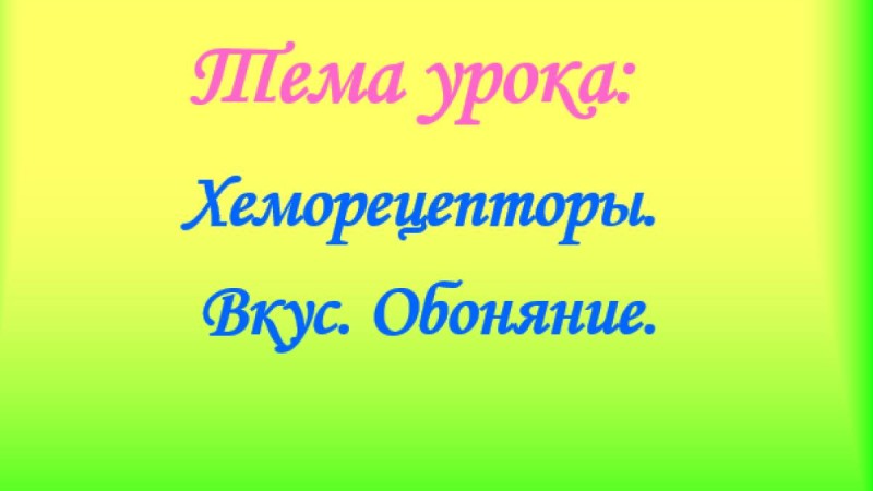 Хеморецепторы слайд,презентация - Биология - Презентация на казахском языке - Қазақша презентация