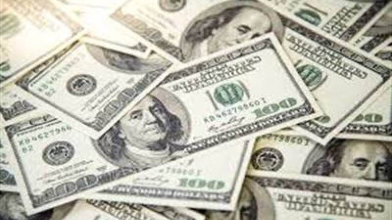 Қаңғыбас тауып алған 17 мың долларды қайырымдылыққа берді